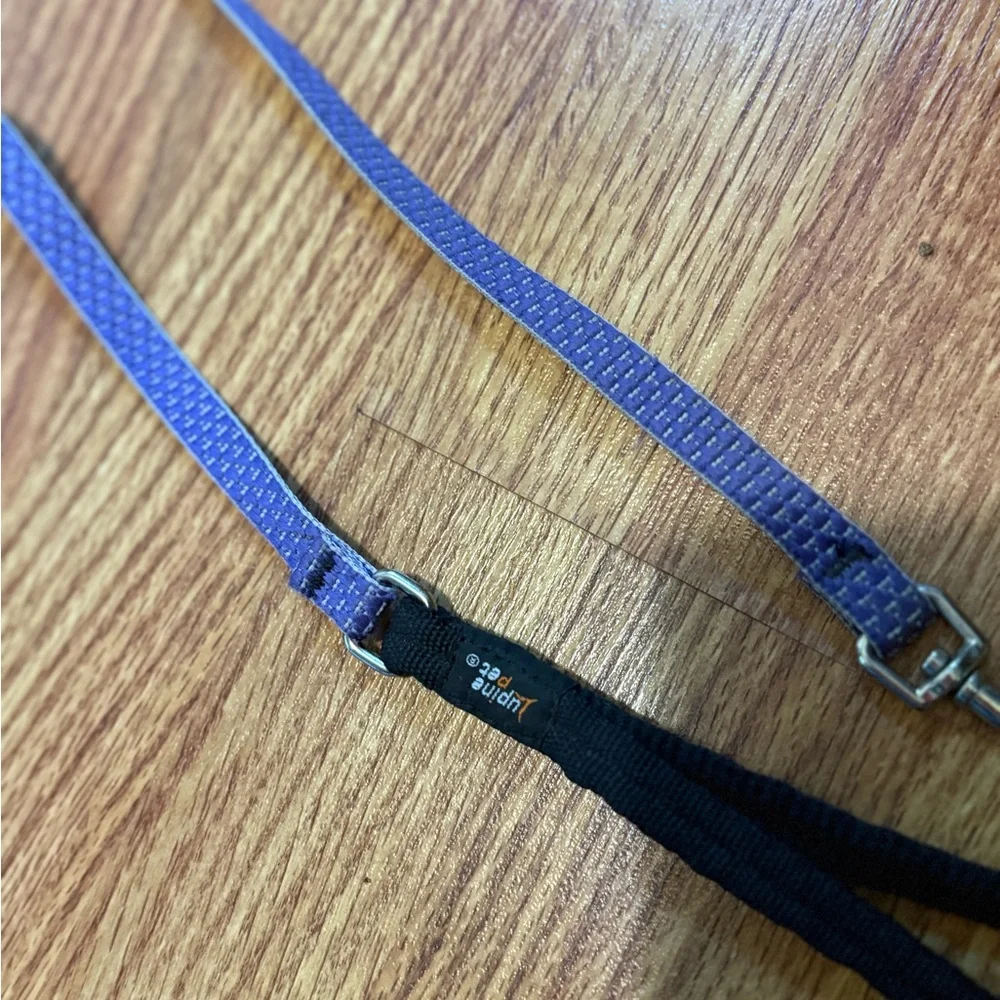 Pet | Dog Leash | Purple | Lupine Pet